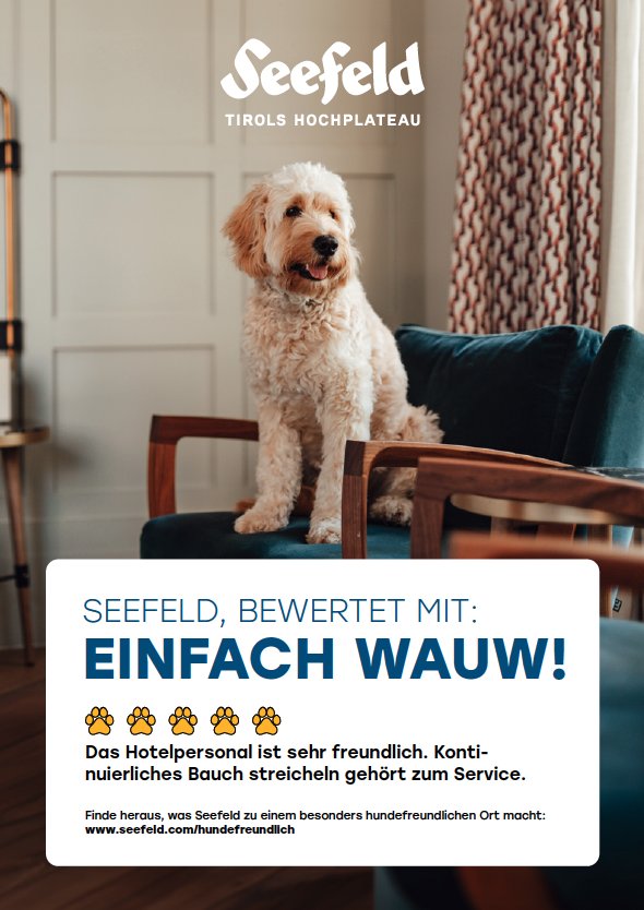 Hundekampagne für den Tourismusverband Seefeld