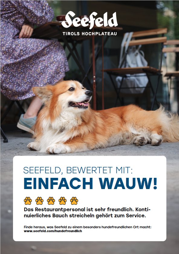 Seefeld-Hunde-Restaurant.png