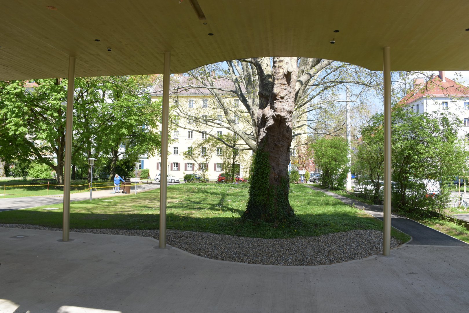 DSC-0031.JPG