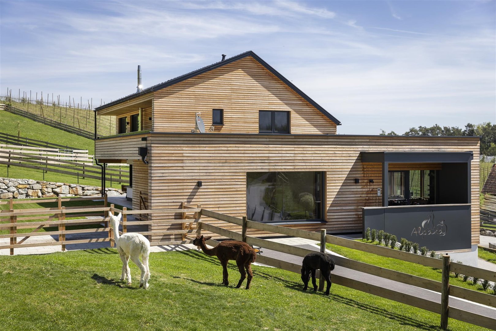 Titelbild zu Bei Tier daheim