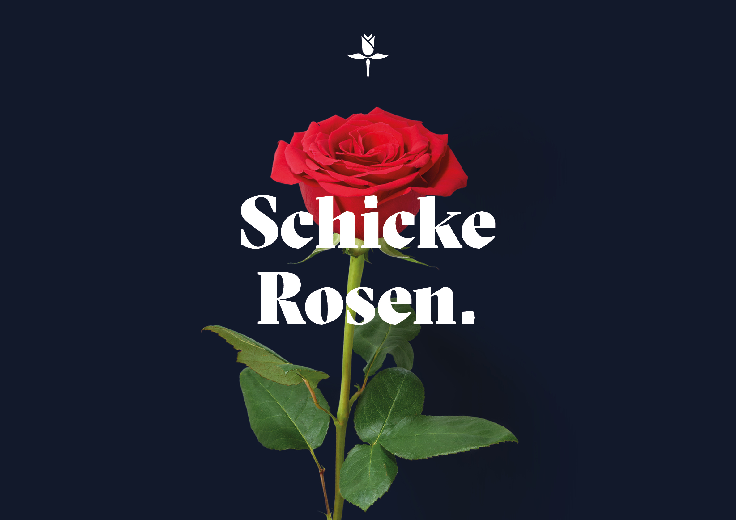 Schicke Rosen