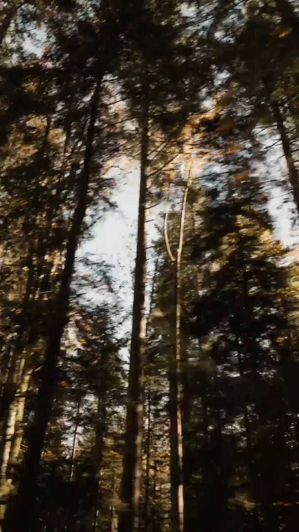 Video-3-Morgen-DE.mp4