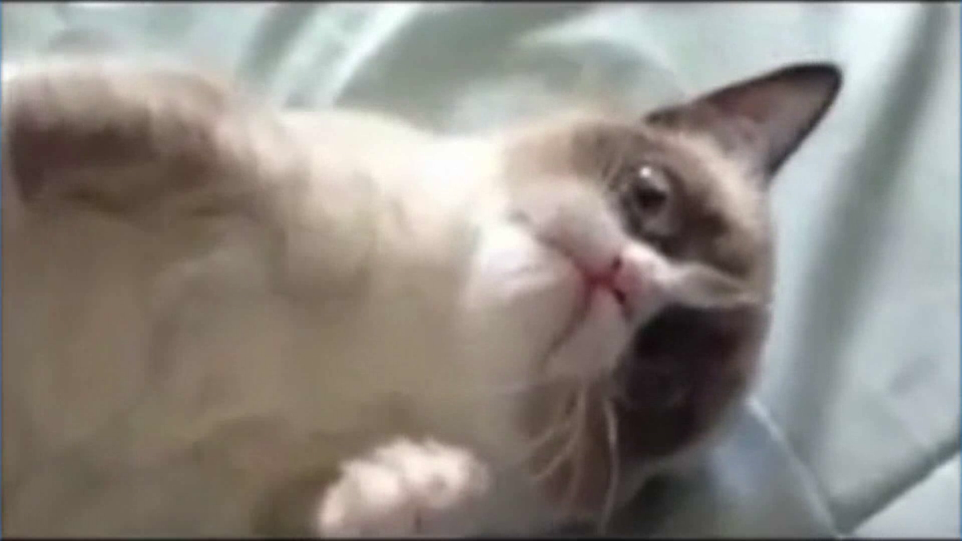 CaseStudy_TELE2_EE_Complaining_FINAL_1080P_2.mp4