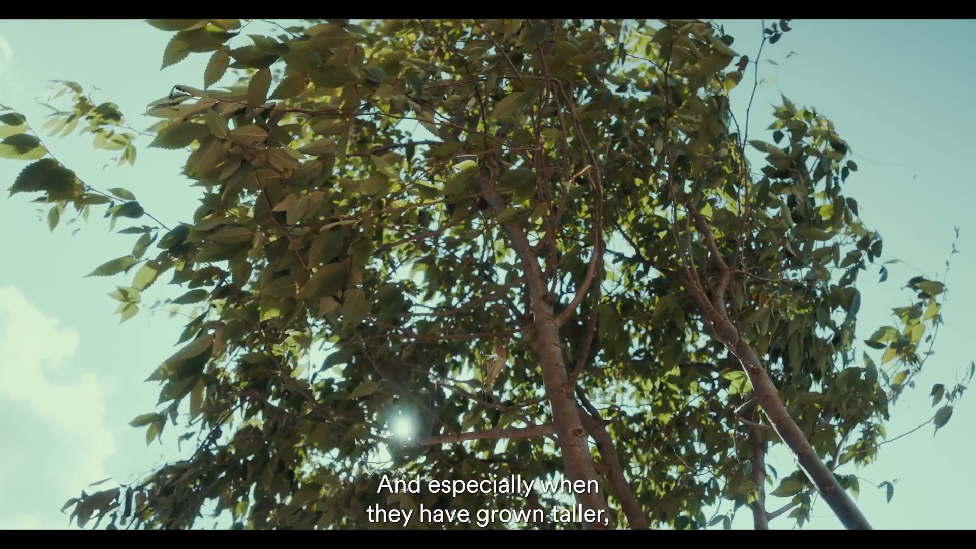 MQ-Goes-Green-Die-Grüne-Transformation-16x9.mp4