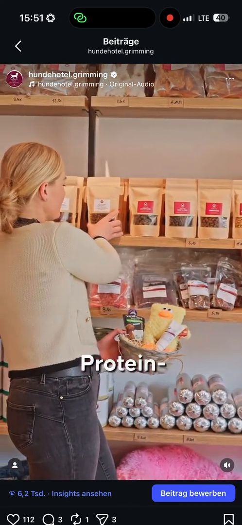 dogs-friends.Reels00004.MP4