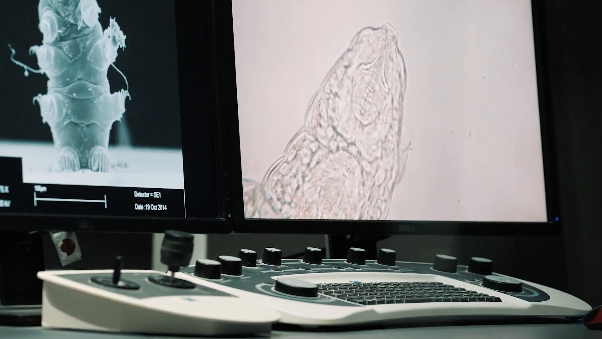 BoB-23-4404_00012480.mp4