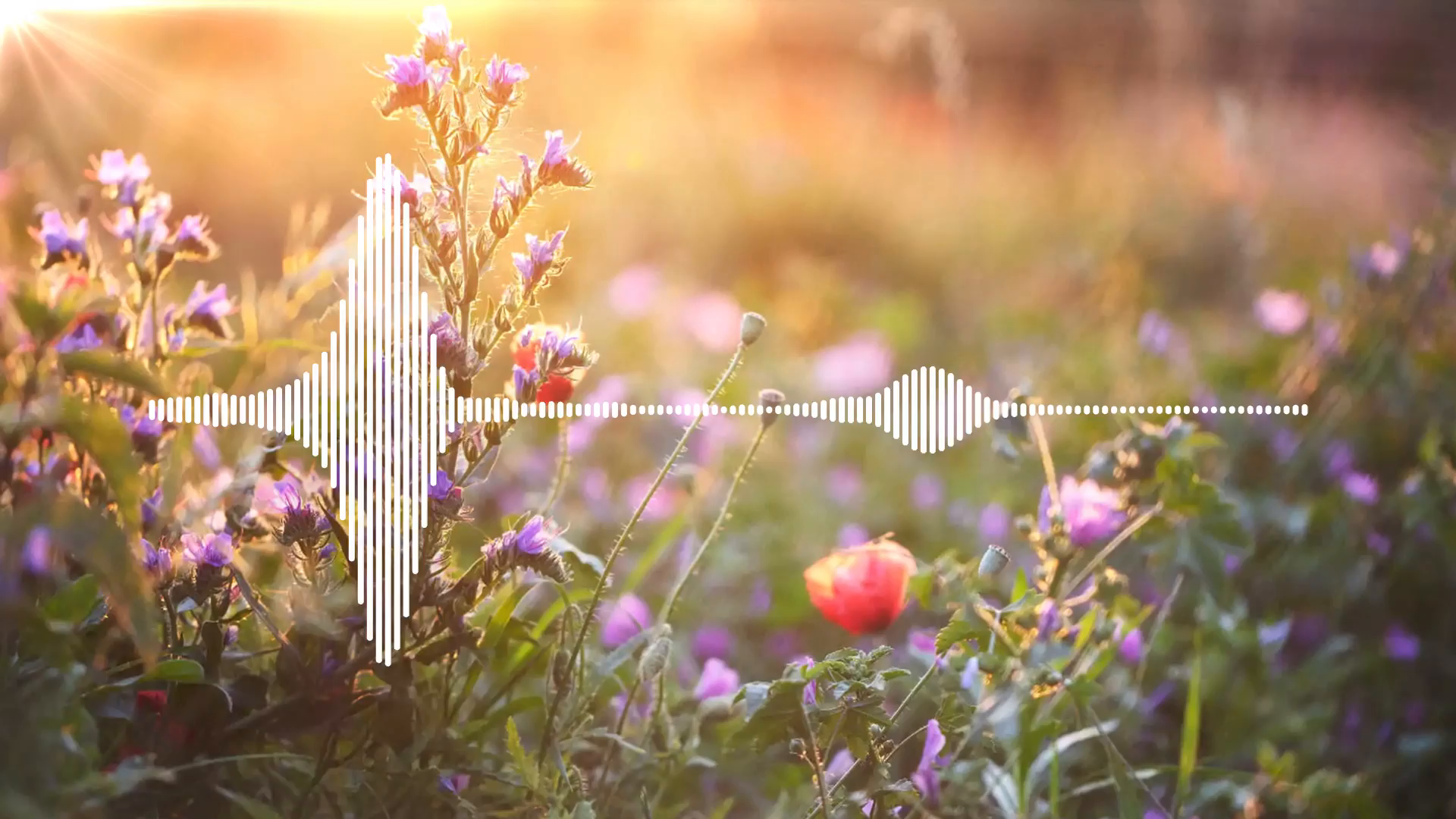 Gartencenter-Meier-Valentistag-CaseFilm-10-Kbps.mp4