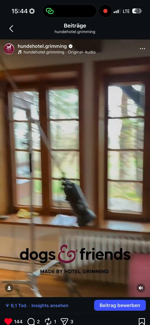 dogs-friends.Reels00002.MP4