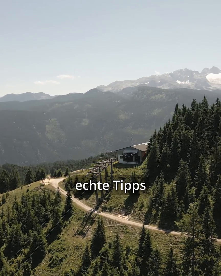 P1-4V-Allgemein-Sommer-A.mp4