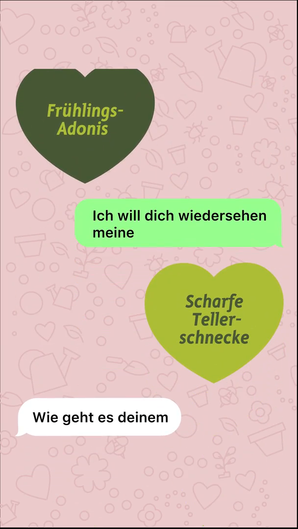 GCM-Kosenamen-SoMe-Story-1080x1920-Chat2.mp4