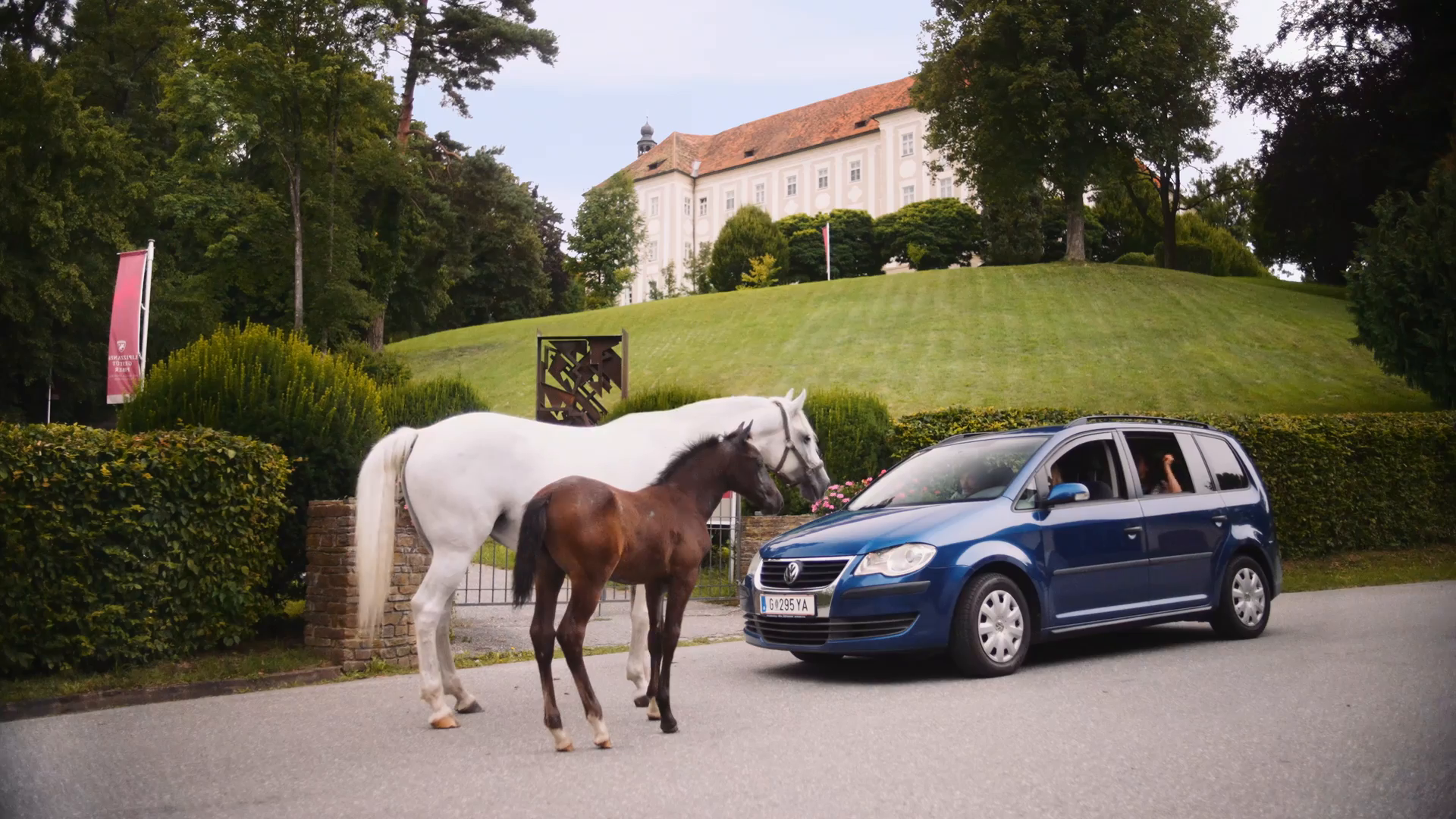 PR476B3-Lipizzaner-WEB-Welt-16-9-master-v1.mp4