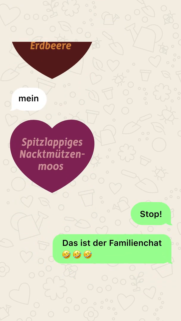 GCM-Kosenamen-SoMe-Story-1080x1920-Chat4.mp4