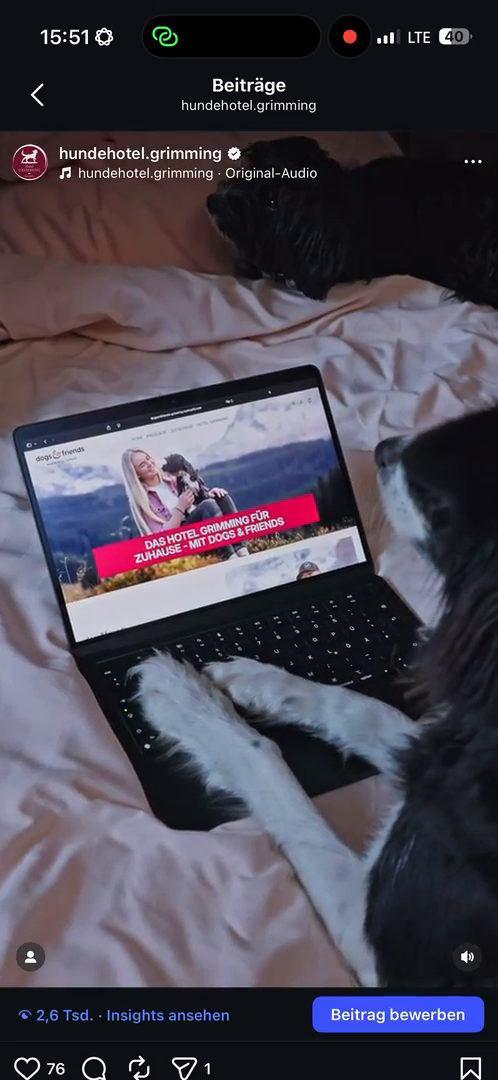 dogs-friends.Reels00005.MP4