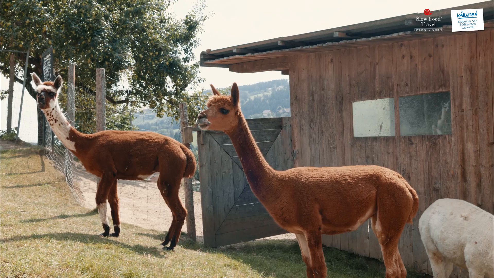 8-Summits-Slow-Food-Sommer-Knabl-Tribondeau-Tag2.mp4