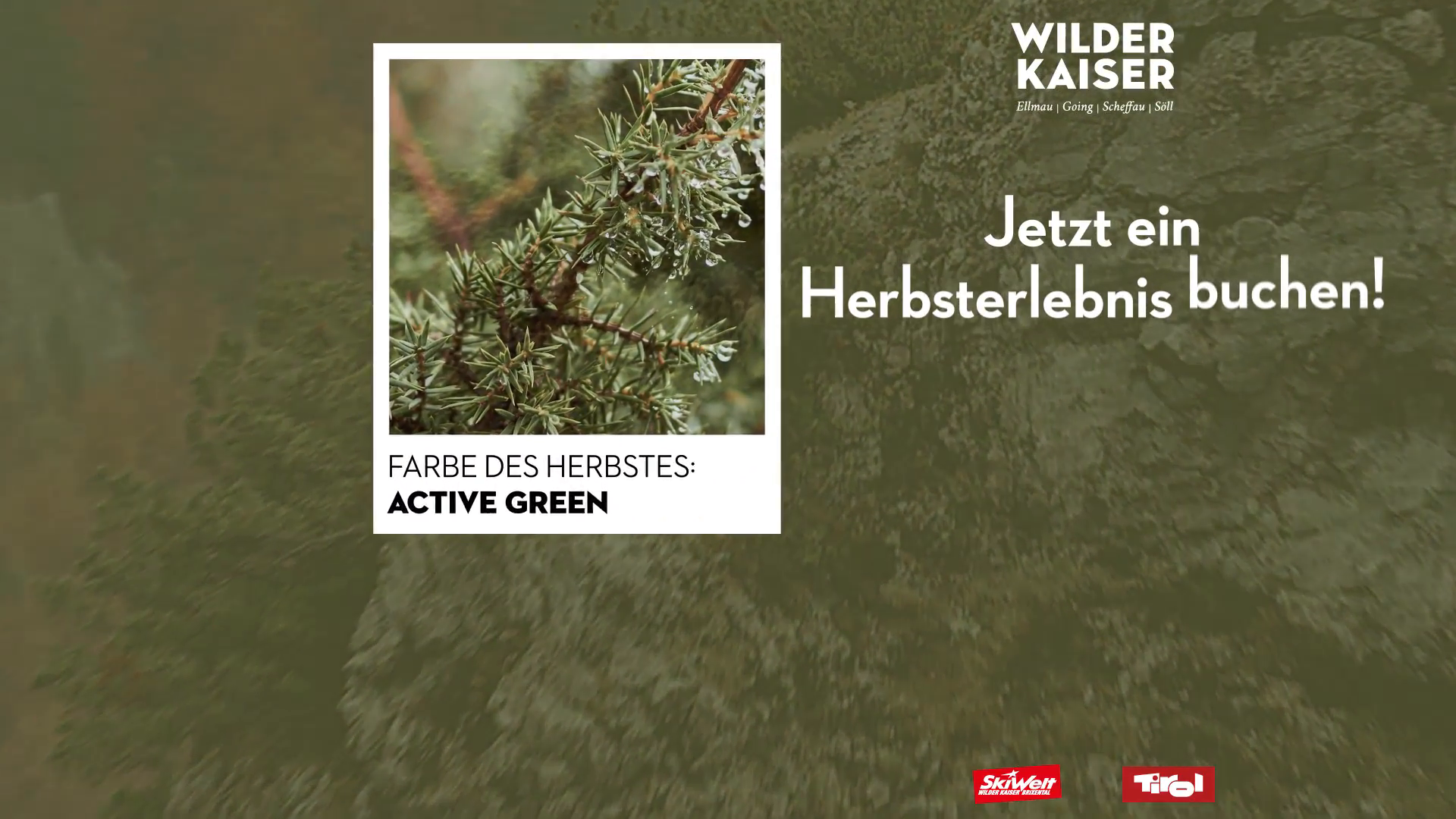 WIK23-Herbst-Farbe1-DOOH-q-4.mp4