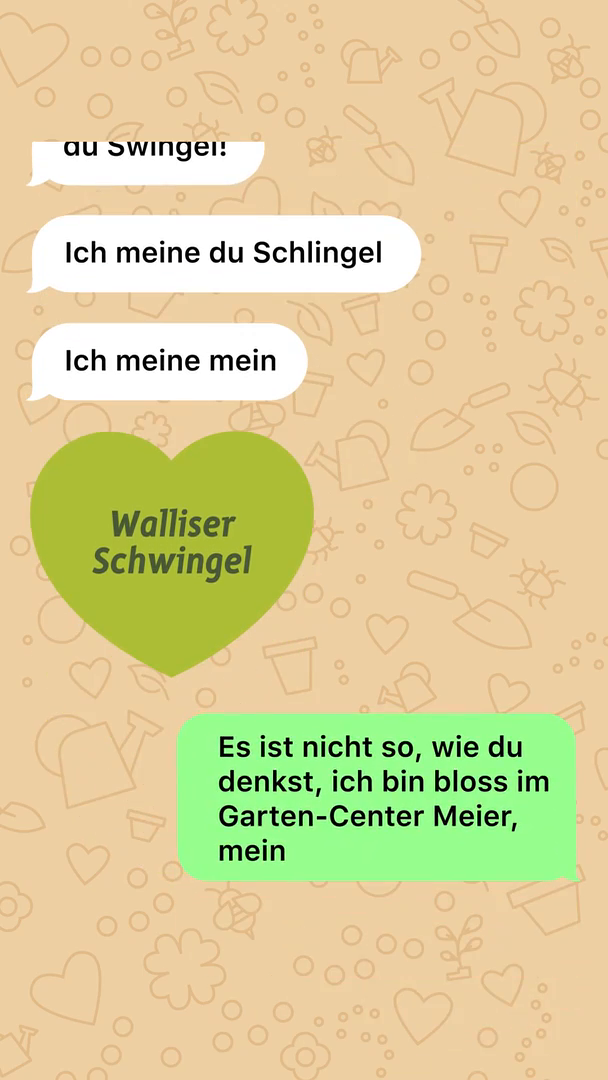 GCM-Kosenamen-SoMe-Story-1080x1920-Chat6.mp4