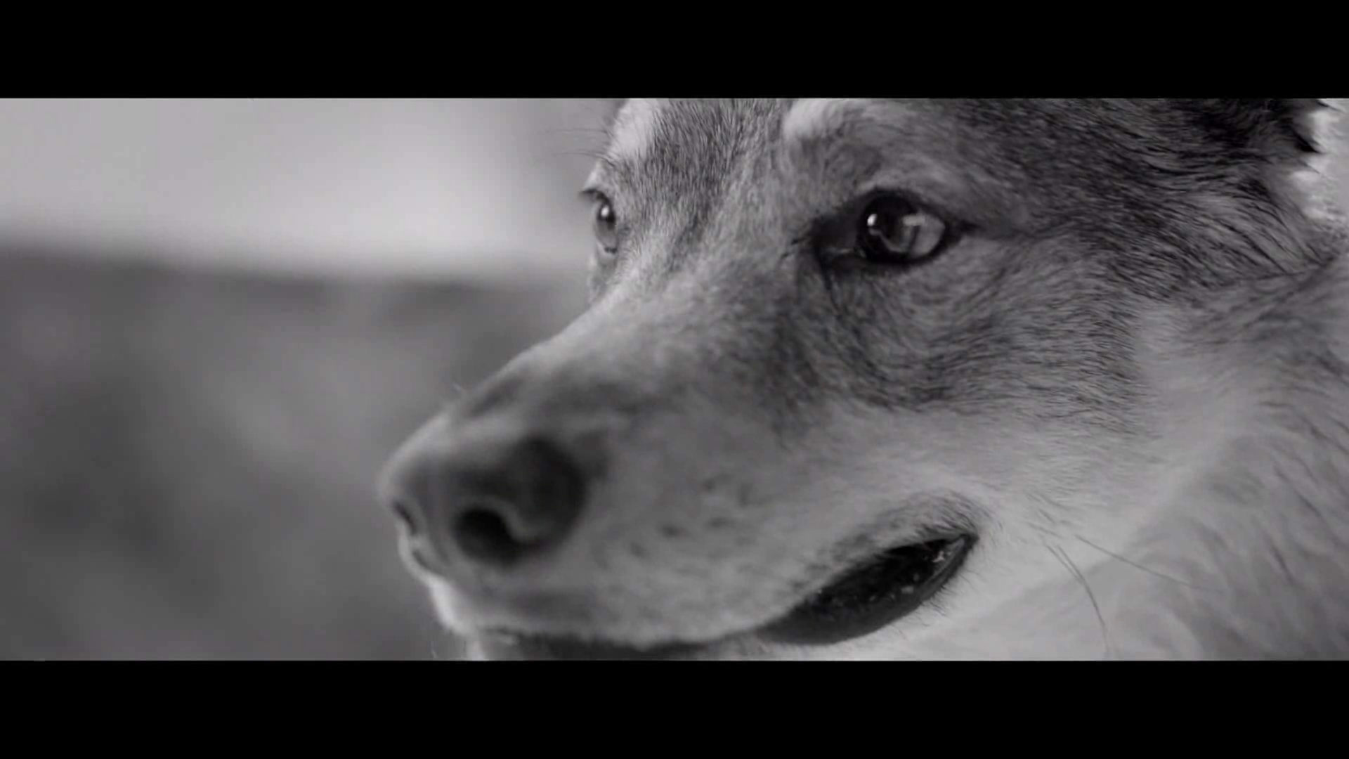 VEF Riga - Tricking Time, 60 seconds.mp4