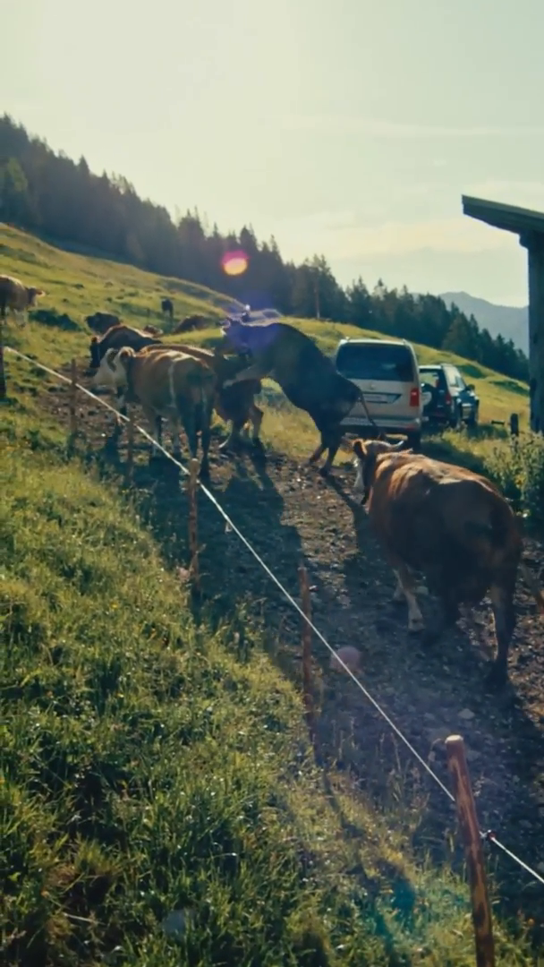 02-Alma-social-media-spot.mp4