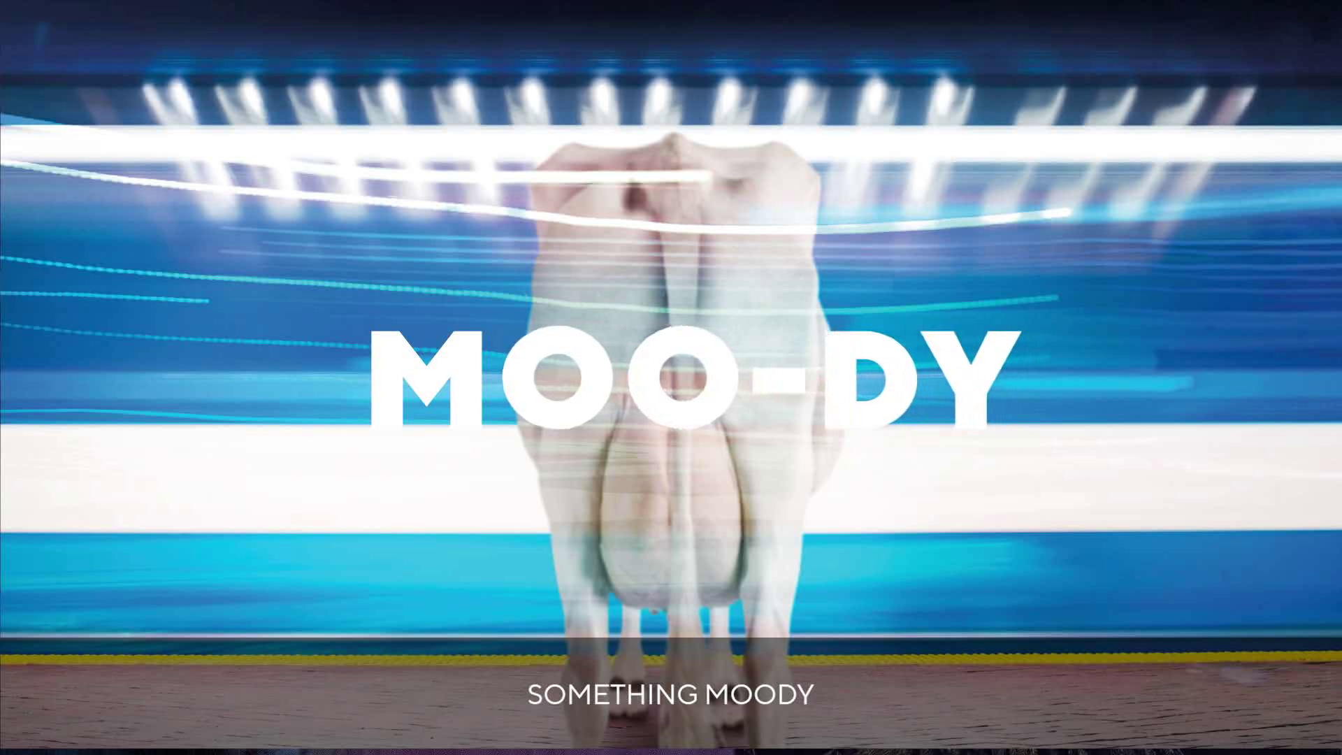 _Baltais_influencer_calendar.mp4