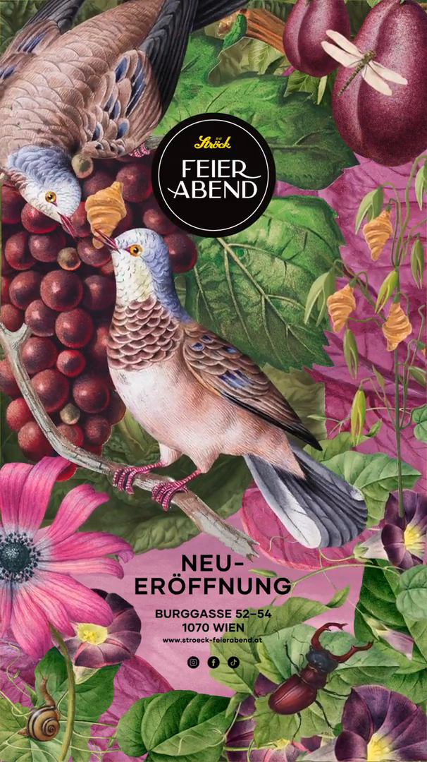 STROECK-Citylight.mp4