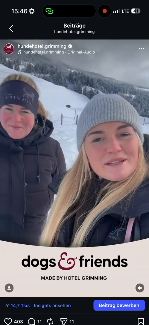 dogs-friends.Reels00012.mov