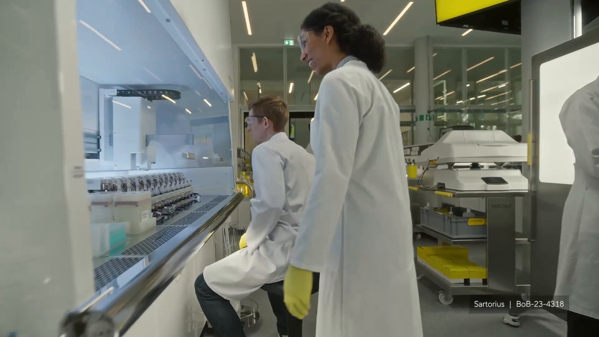 BoB-23-4318_00012019.mp4