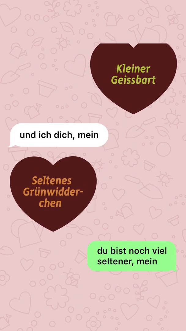 GCM-Kosenamen-SoMe-Story-1080x1920-Chat5.mp4