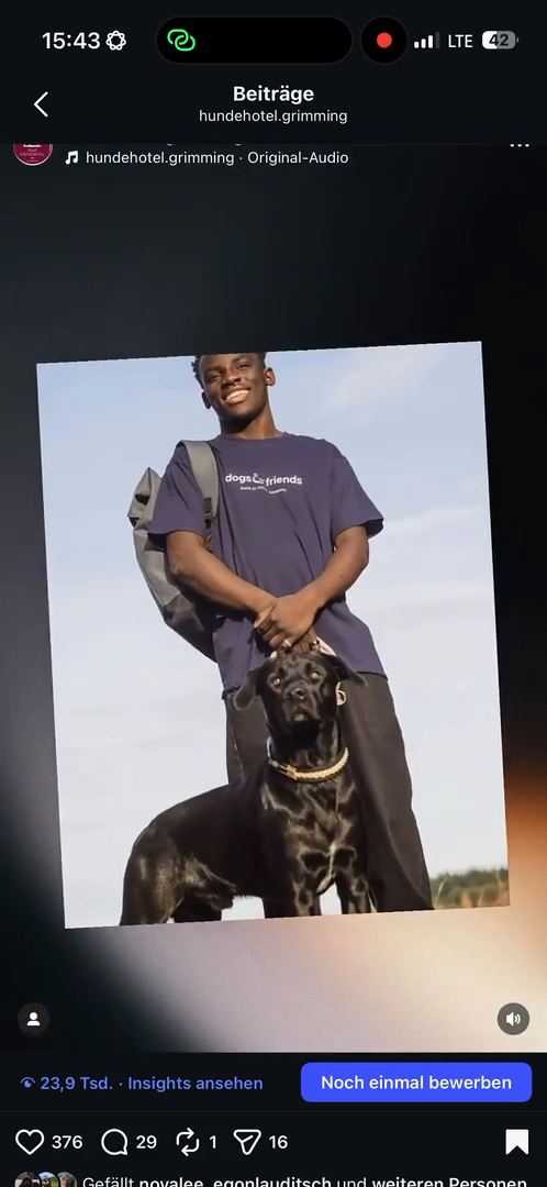 dogs-friends.Reels00001.MP4