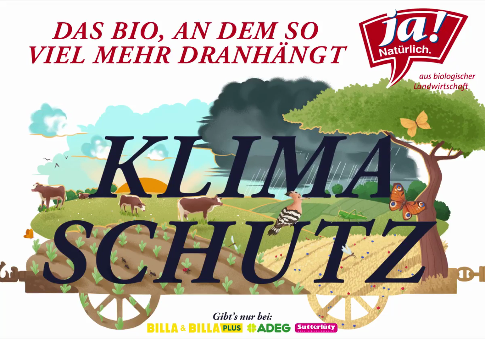 PremiumScreen-Klima-.mp4