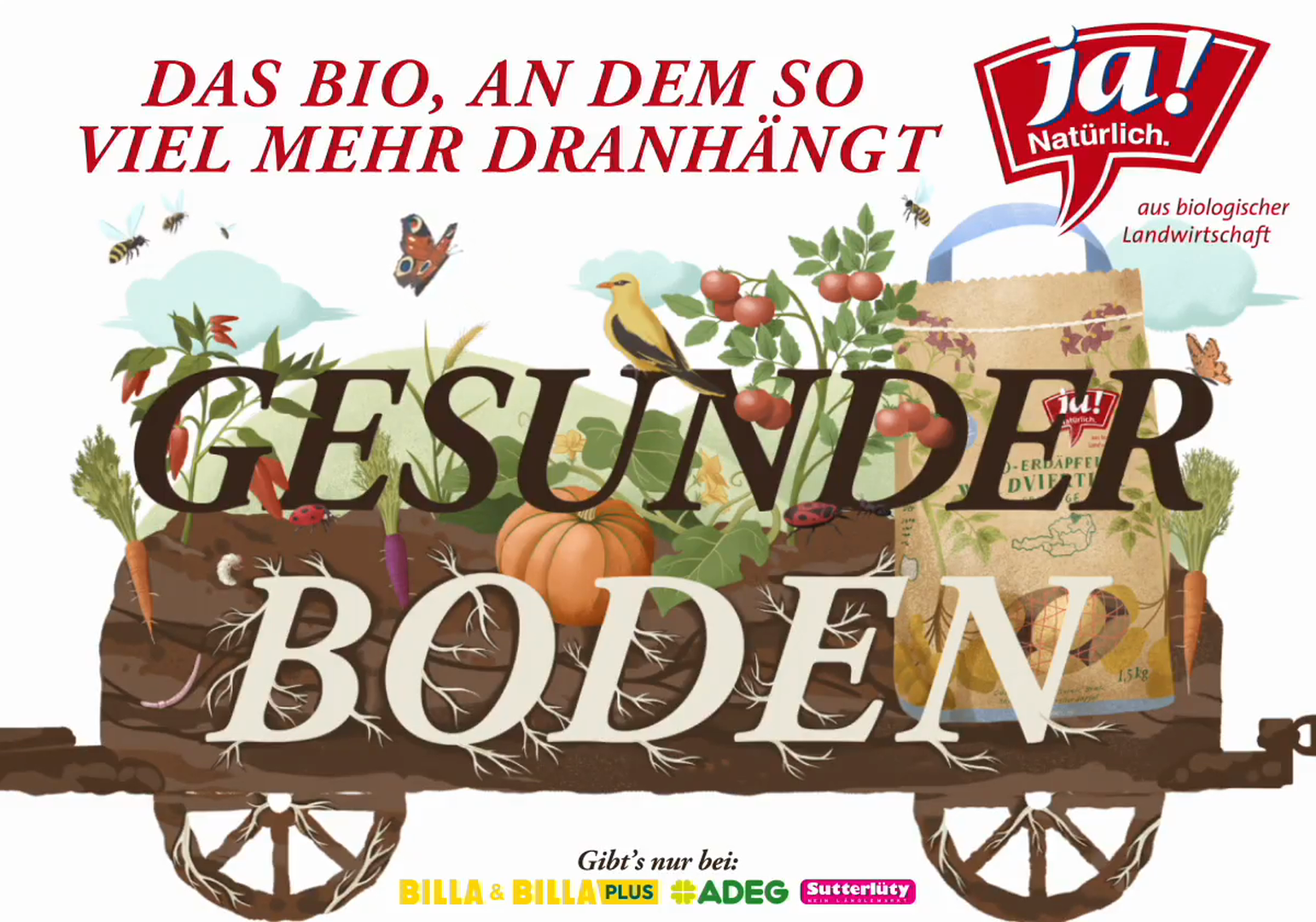 PremiumScreen-GesunderBoden-2.mov