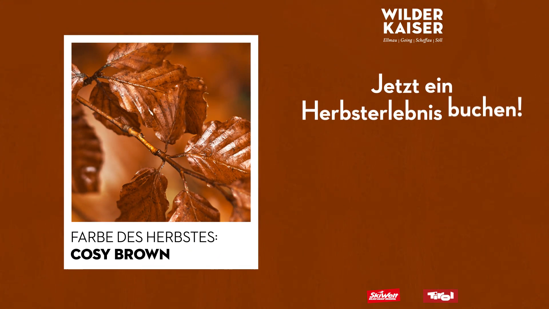 WIK23-Herbst-Farbe5-DOOH-q-3.mp4