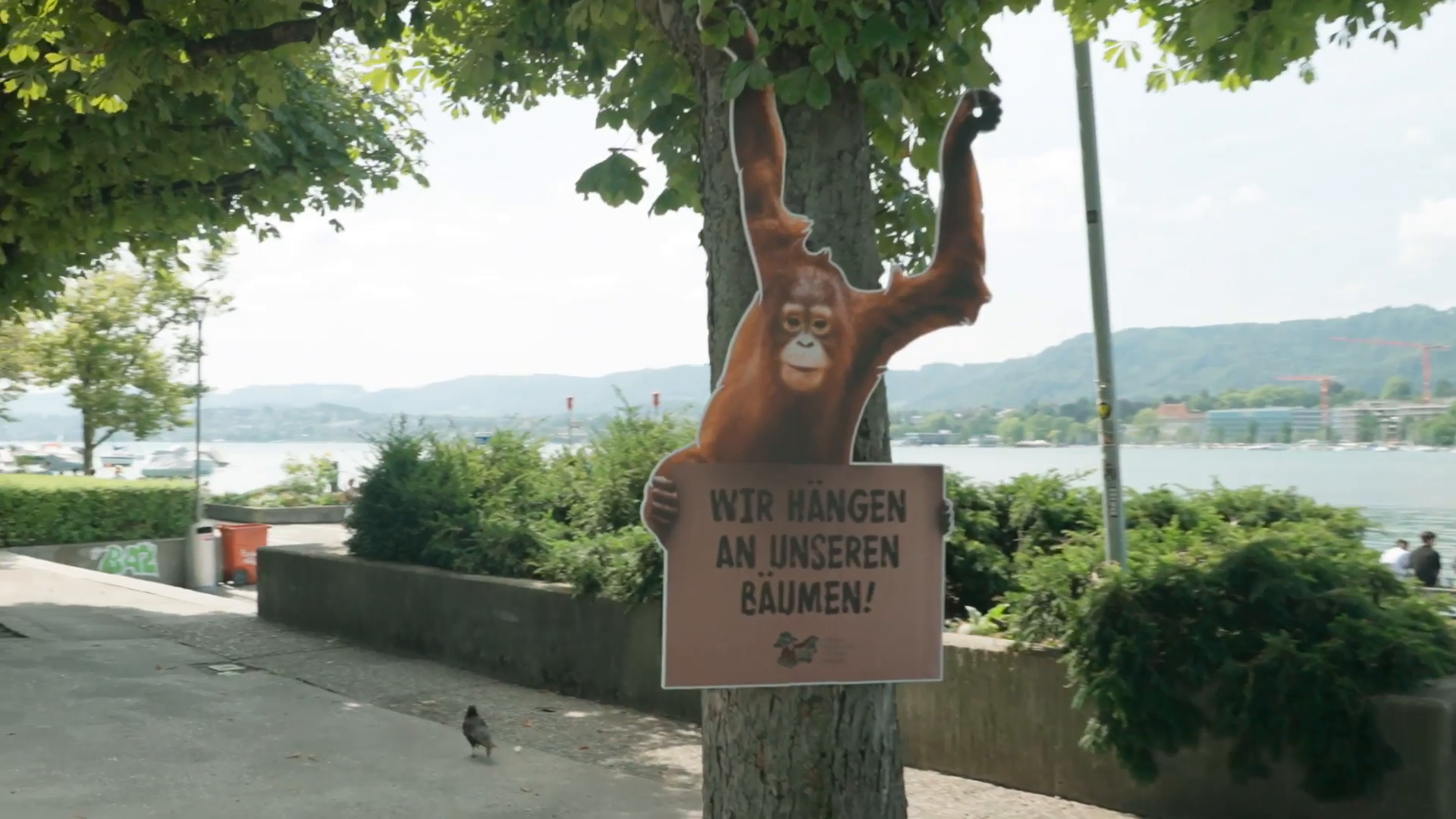 BOS-Affendemo-Casemovie-1920x1080-UPDATE2025-5Mbit.mp4