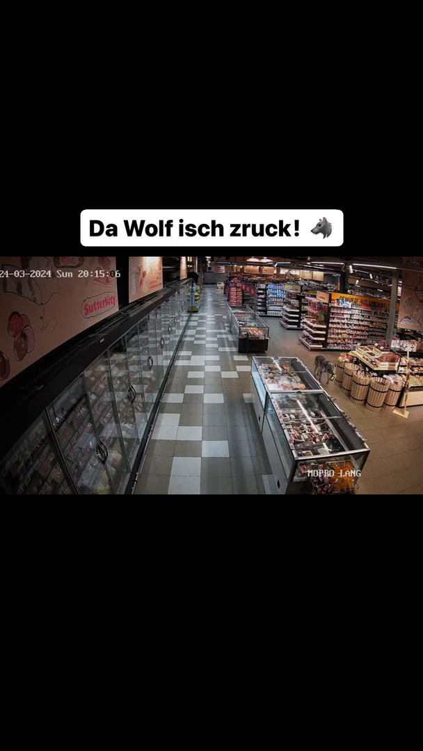 Sutterlu-ty-Fake-News-Start.mp4