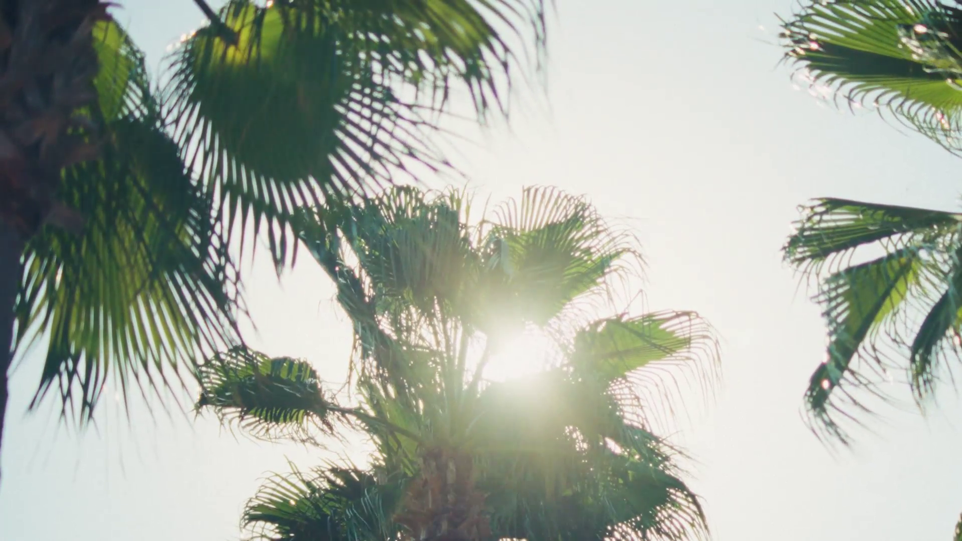 13211-ROB-AWA-Brand-30s-16x9-DE-v26.mp4