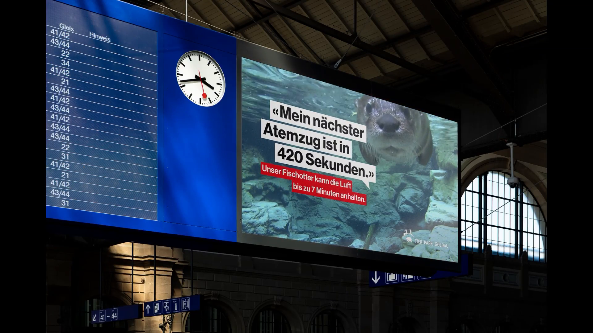 Tierfluencer-3-Spot-Fischotter.mp4