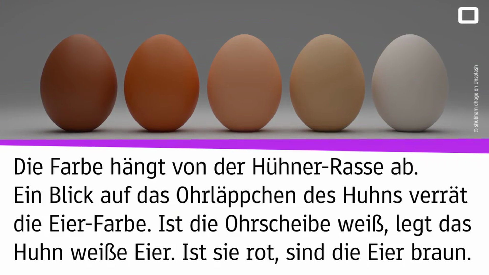 HK-Eierfarbe.mp4