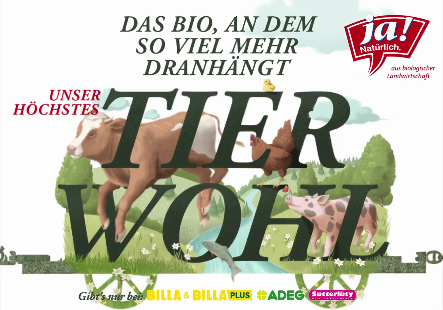 PremiumScreen-Tierwohl.mov