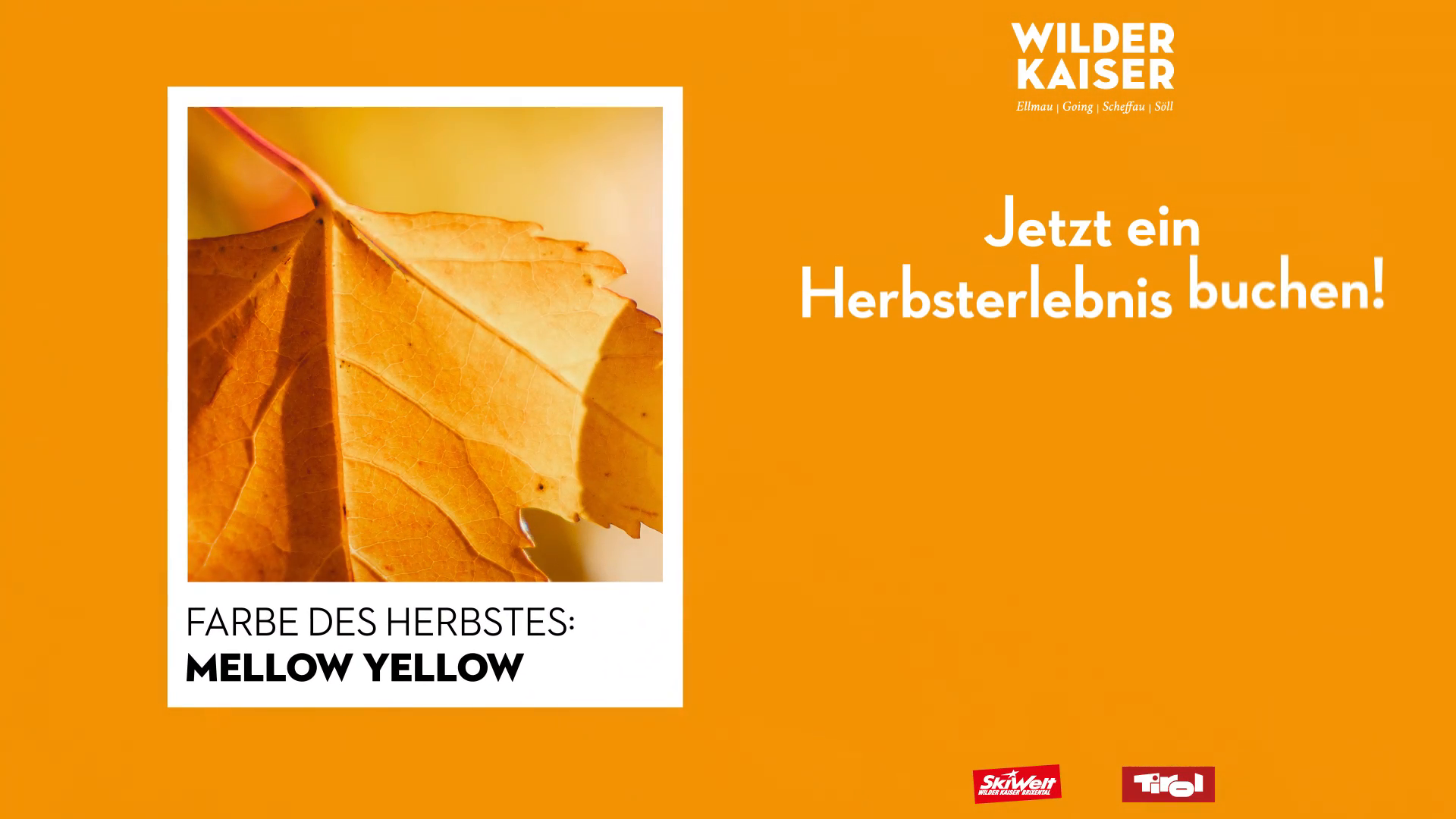 WIK23-Herbst-Farbe3-DOOH-q-3.mp4