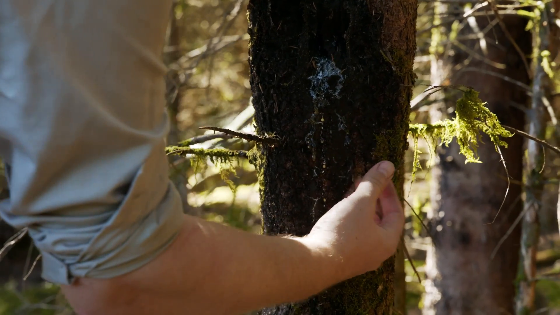 241202_Datagroup_Dokufilm_1080p25_Final (2).mp4