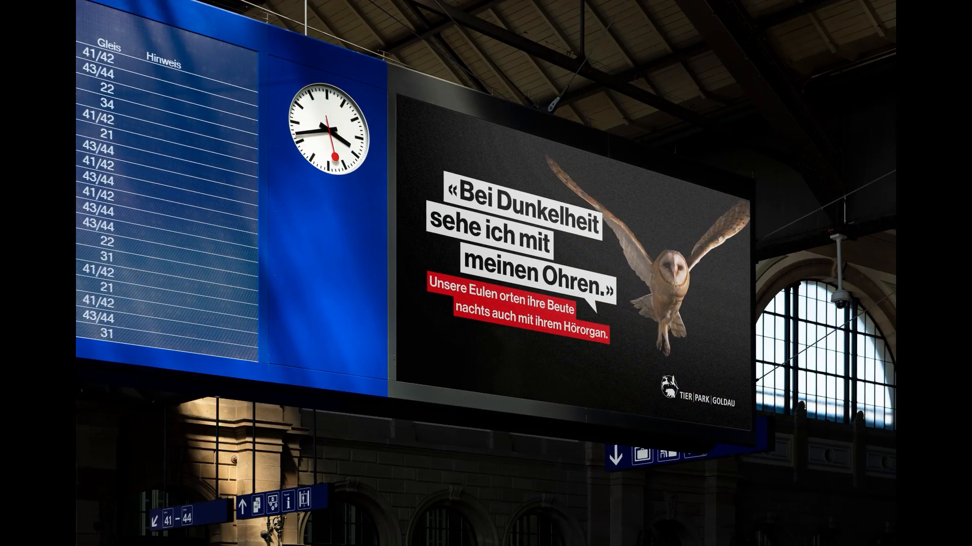 Tierfluencer-2-Spot-Eule.mp4