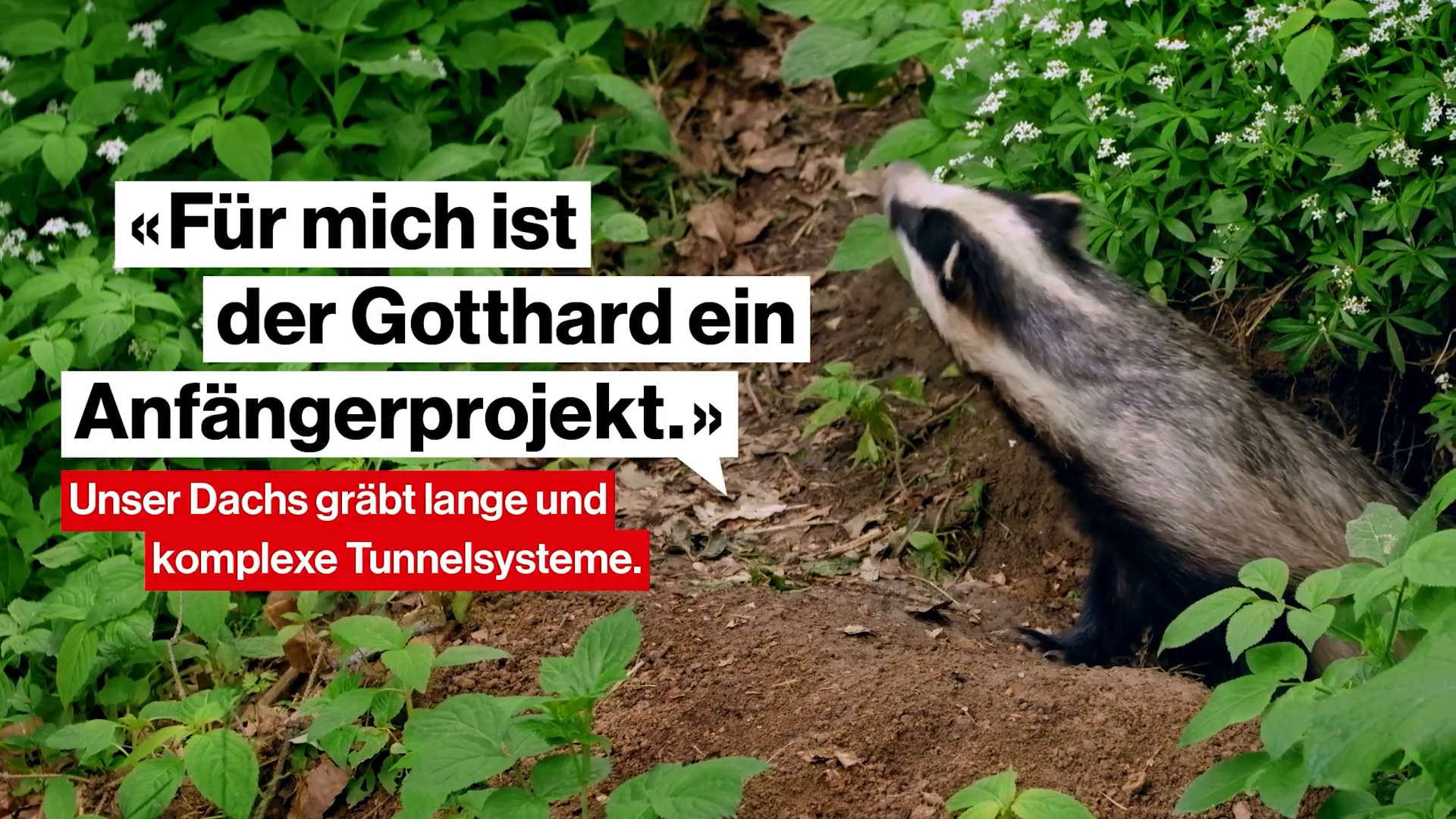 TPG-Casefilm-LOW.mp4