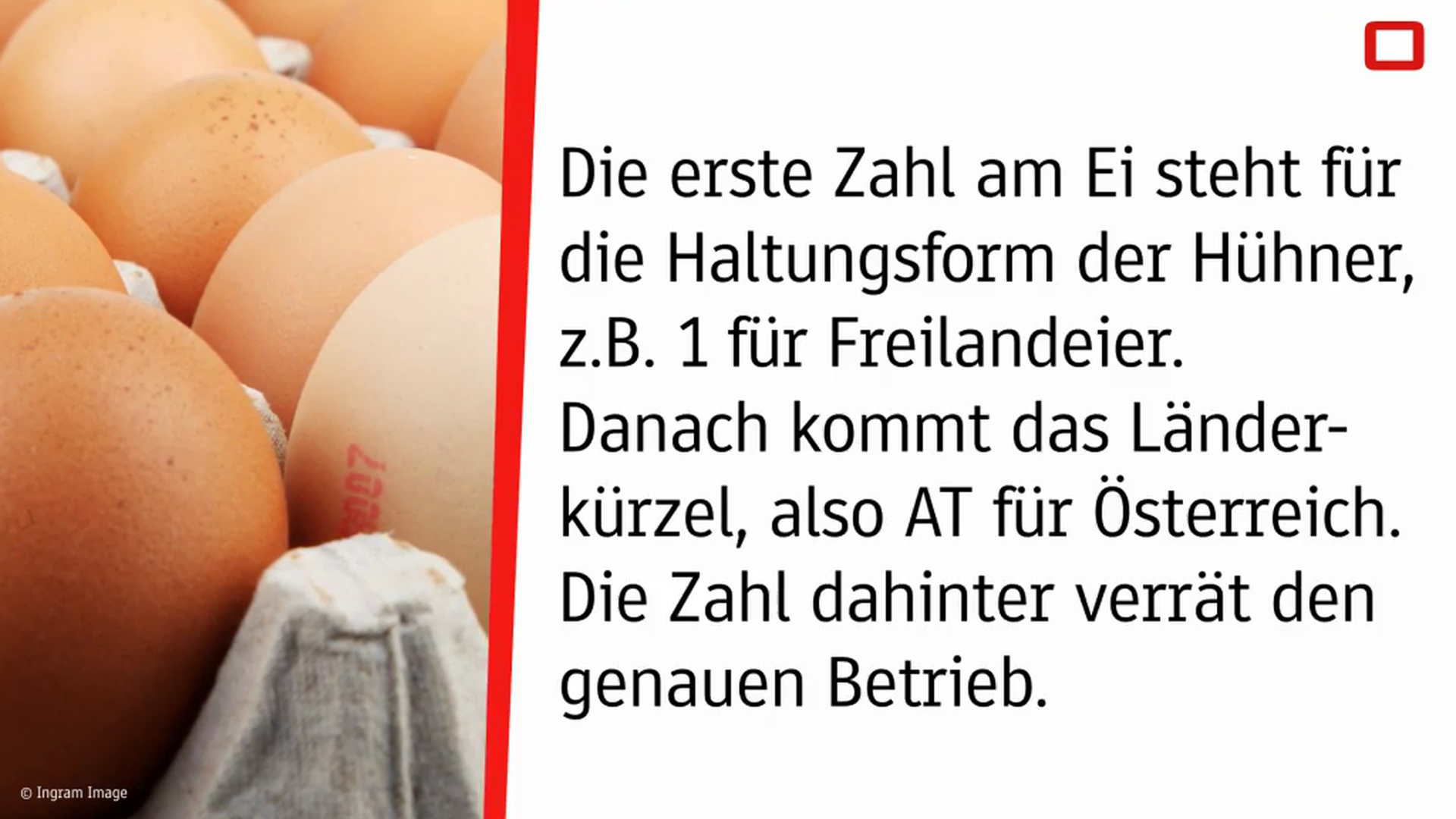 HK-Zahl-Ei.mp4