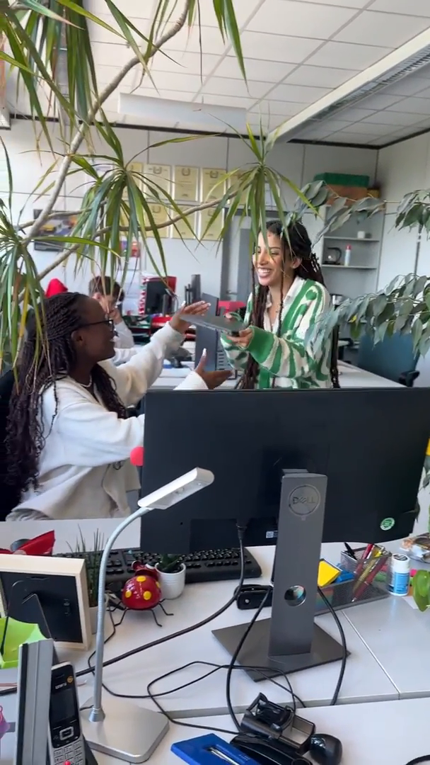 Netto-Ganz-netto-hier-mit-dir-TikTok-Anwendungsentwicklung-Netto-IT-Umfeld.mp4