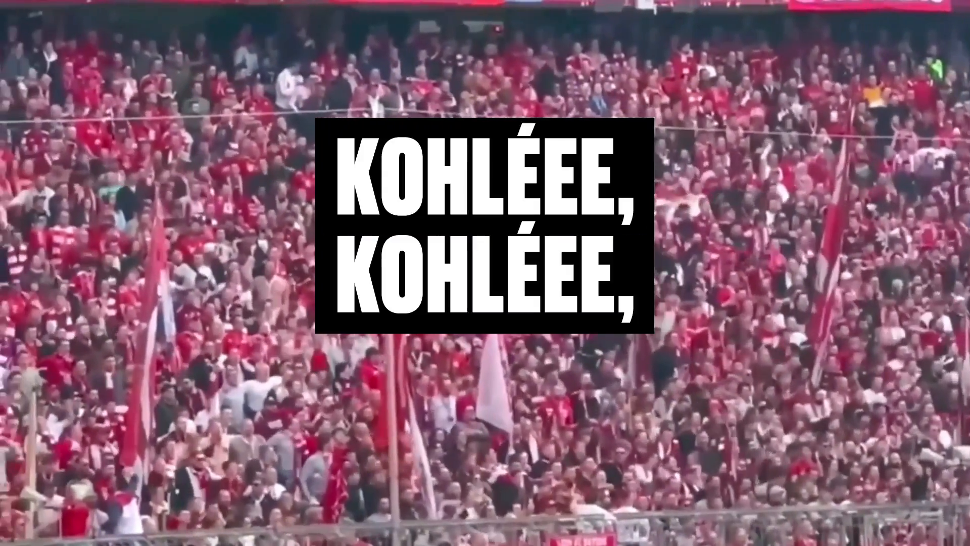 BILD Fangesänge