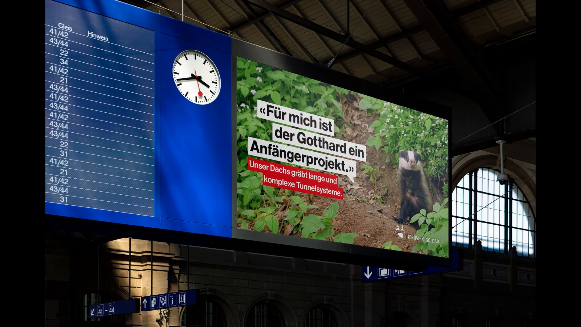 Tierfluencer-1-Spot-Dachs.mp4