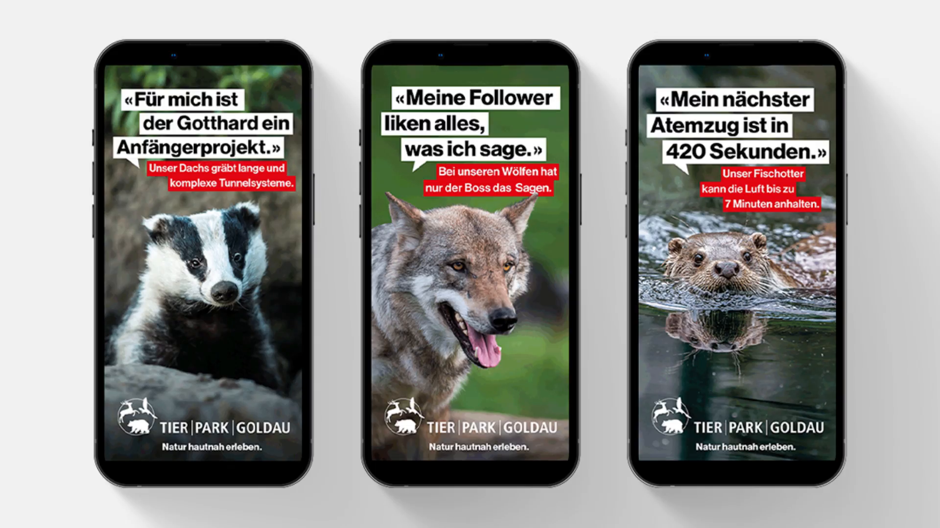 Tierfluencer-7-Banner.mp4