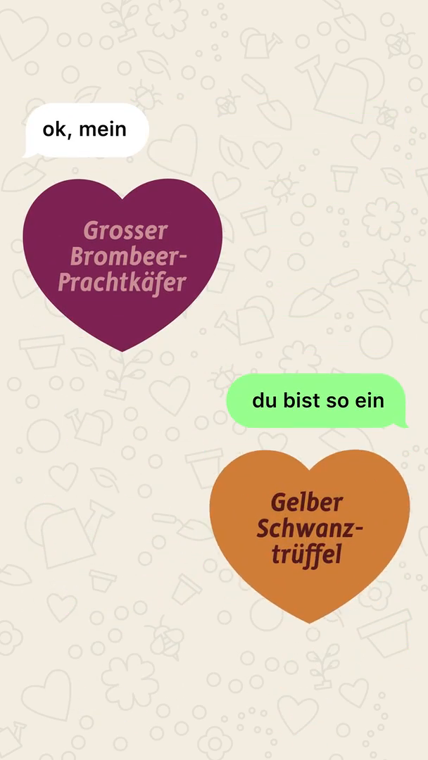 GCM-Kosenamen-SoMe-Story-1080x1920-Chat10.mp4