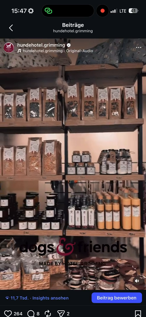 dogs-friends.Reels00013.mov