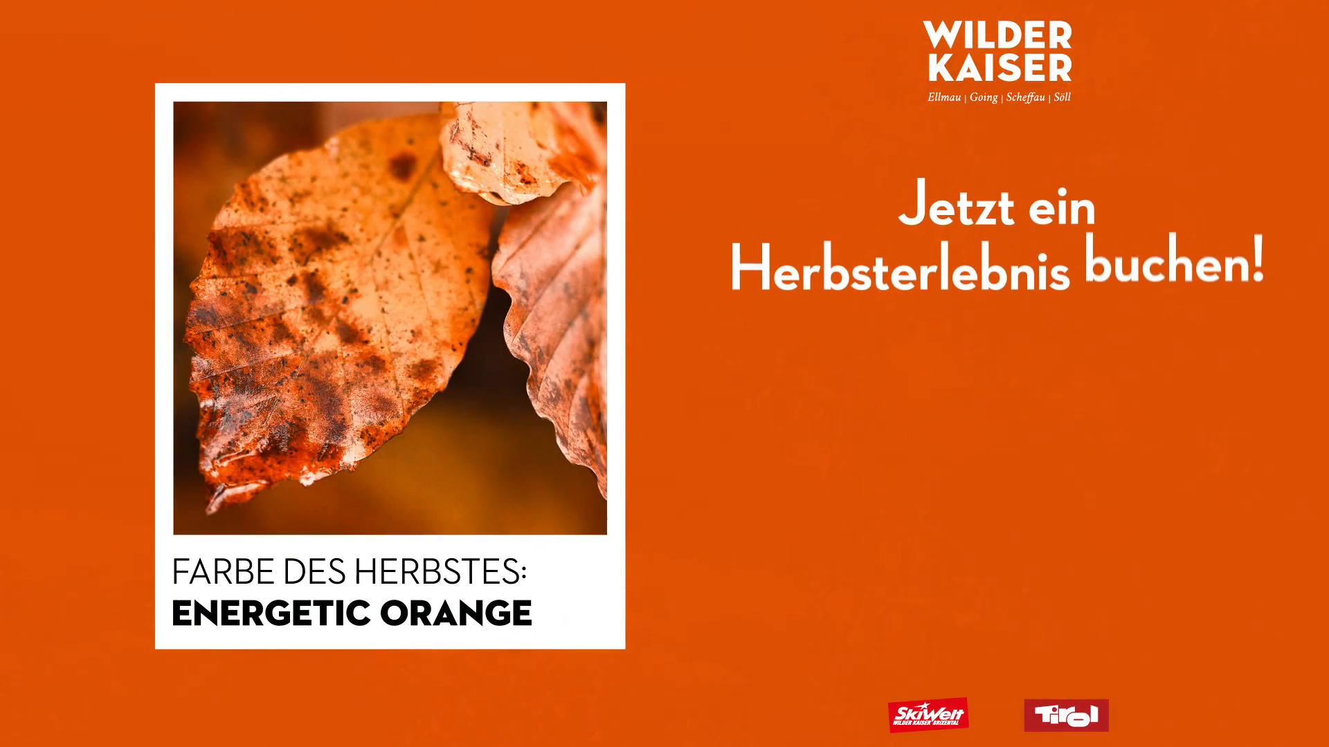 WIK23-Herbst-Farbe4-DOOH-q-3.mp4