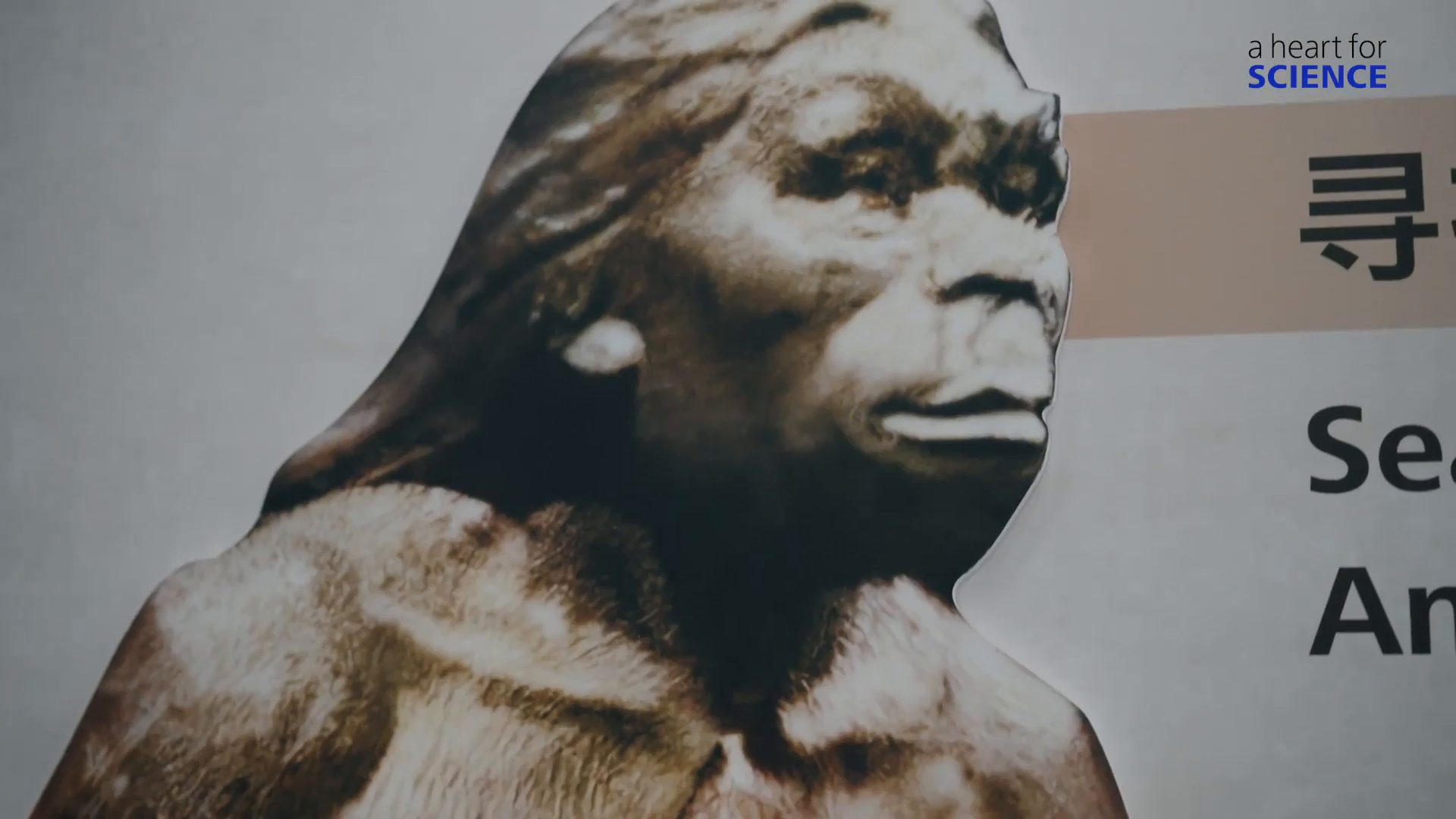 ZEISS – A Heart for Science